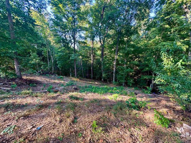 127 HARVEY NEWMAN RD, Gates, TN 38037