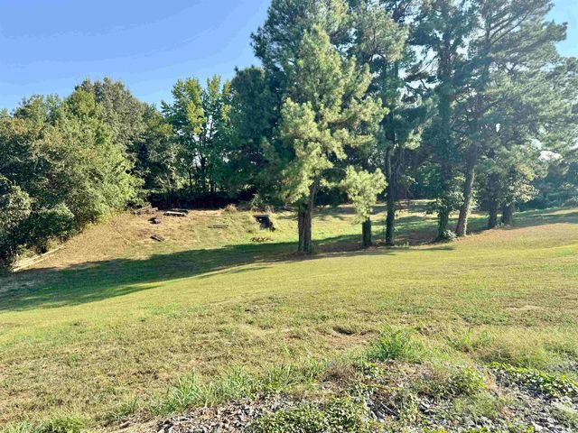 127 HARVEY NEWMAN RD, Gates, TN 38037