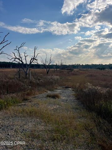 2191 Rolling Pines Road, Chipley, FL 32428