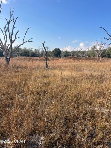 2191 Rolling Pines Road, Chipley, FL 32428