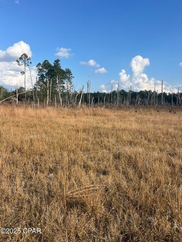 2191 Rolling Pines Road, Chipley, FL 32428