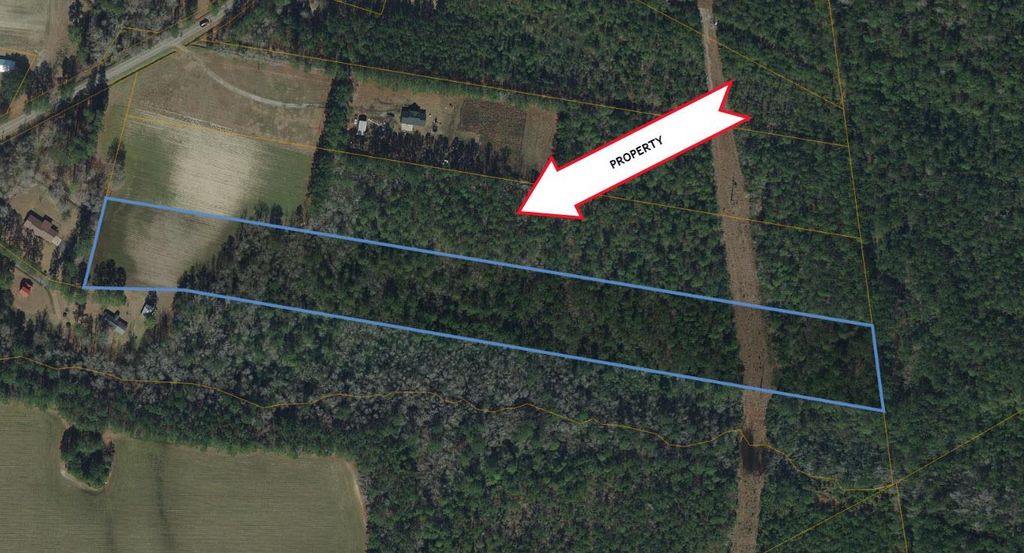 TBD U A Johnson Ln, Galivants Ferry, SC 29544 — exterior
