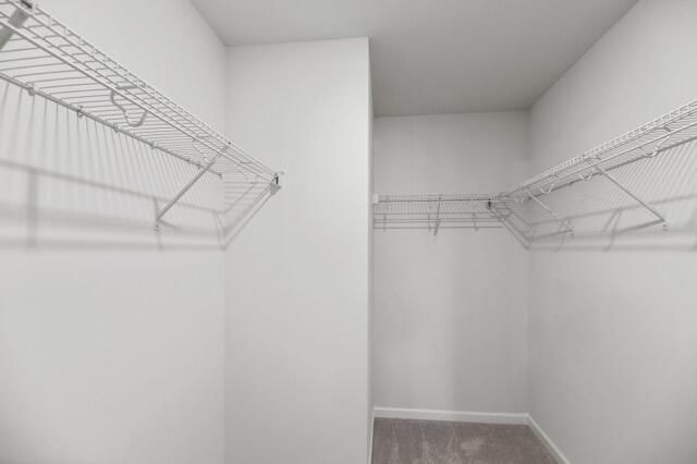 1302 Berry Grove Drive, Summerville, SC 29485