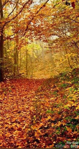 Lot E6 Unula Loop E6, Maggie Valley, NC 28751