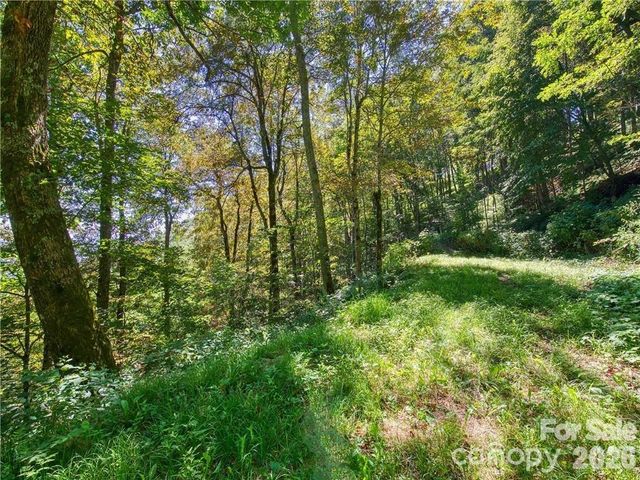 Lot E6 Unula Loop E6, Maggie Valley, NC 28751