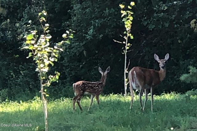 11074 W Riverview Dr, Post Falls, ID 83854