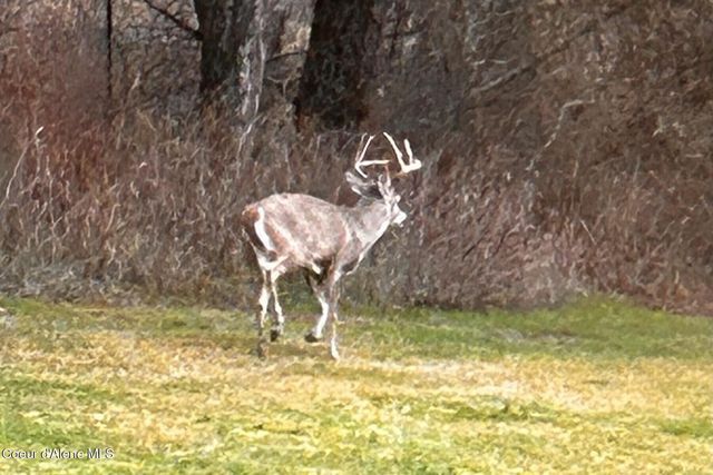 11074 W Riverview Dr, Post Falls, ID 83854