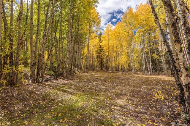 0000 TBD County Road 28A, Twin Lakes, CO 81251