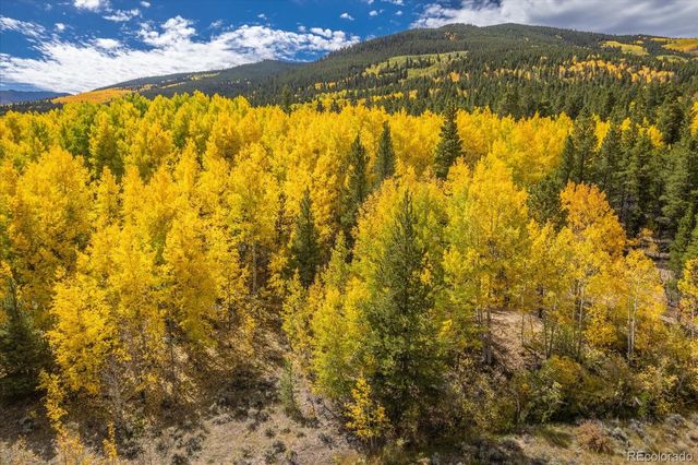 0000 TBD County Road 28A, Twin Lakes, CO 81251