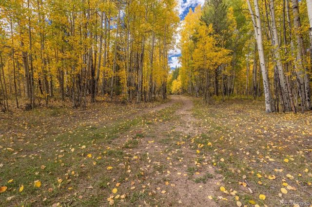 0000 TBD County Road 28A, Twin Lakes, CO 81251