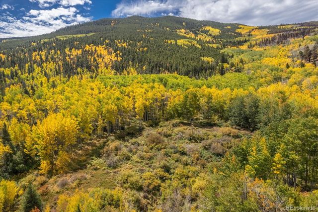 0000 TBD County Road 28A, Twin Lakes, CO 81251