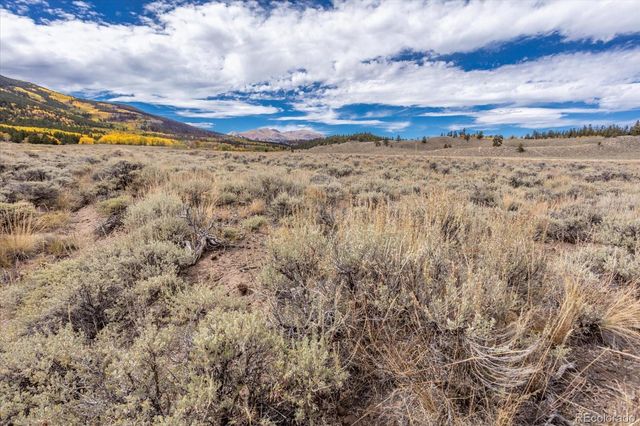 0000 TBD County Road 28A, Twin Lakes, CO 81251