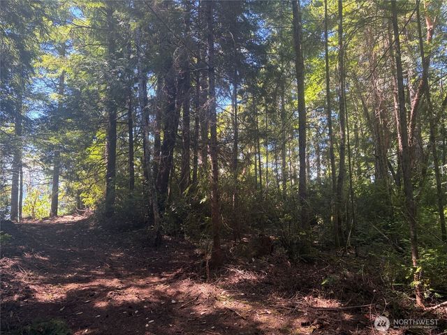 1 xxxx Foxglove Lane, Quilcene, WA 98376