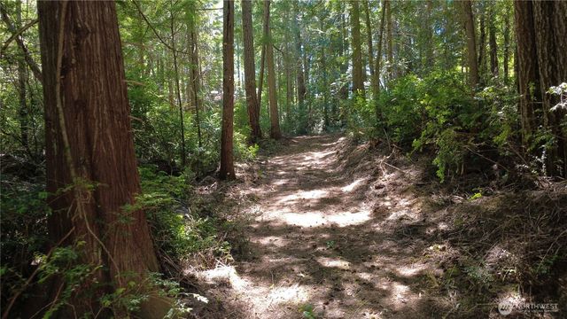 1 xxxx Foxglove Lane, Quilcene, WA 98376