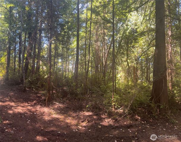 1 xxxx Foxglove Lane, Quilcene, WA 98376