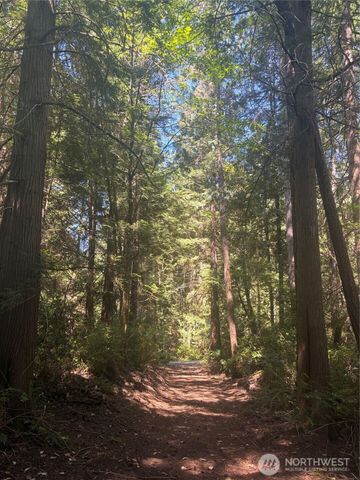 1 xxxx Foxglove Lane, Quilcene, WA 98376