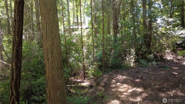 1 xxxx Foxglove Lane, Quilcene, WA 98376