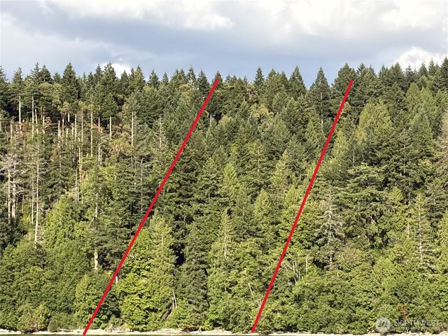 1 xxxx Foxglove Lane, Quilcene, WA 98376