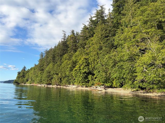 1 xxxx Foxglove Lane, Quilcene, WA 98376