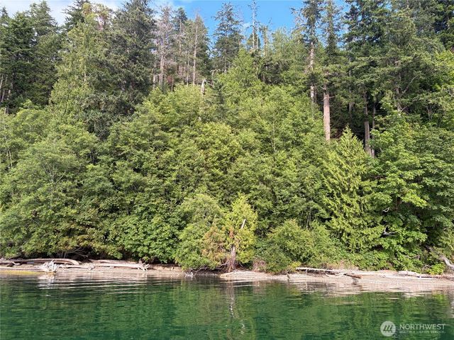 1 xxxx Foxglove Lane, Quilcene, WA 98376