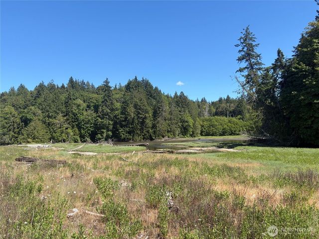 1 xxxx Foxglove Lane, Quilcene, WA 98376