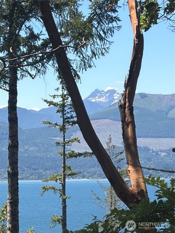 1 xxxx Foxglove Lane, Quilcene, WA 98376