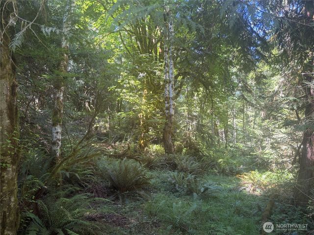 1 xxxx Foxglove Lane, Quilcene, WA 98376