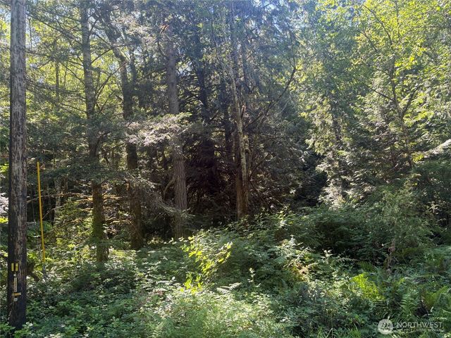 1 xxxx Foxglove Lane, Quilcene, WA 98376