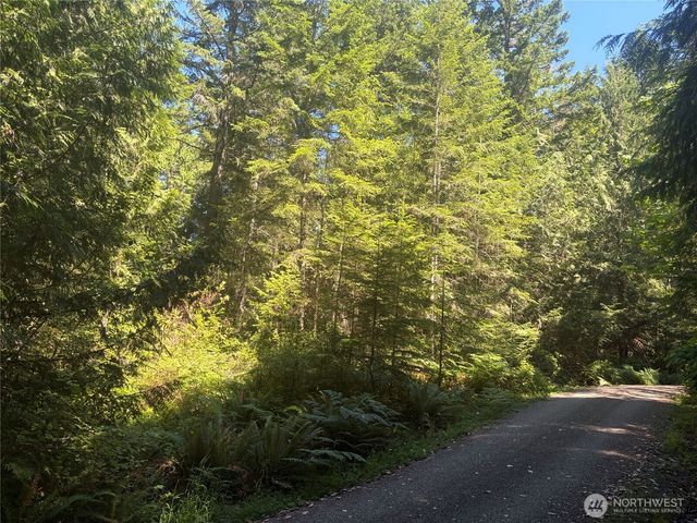 1 xxxx Foxglove Lane, Quilcene, WA 98376