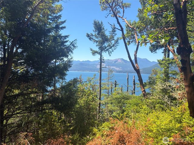 1 xxxx Foxglove Lane, Quilcene, WA 98376