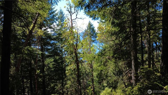 1 xxxx Foxglove Lane, Quilcene, WA 98376