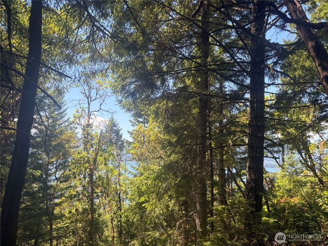 1 xxxx Foxglove Lane, Quilcene, WA 98376