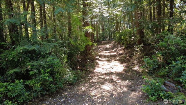 1 xxxx Foxglove Lane, Quilcene, WA 98376