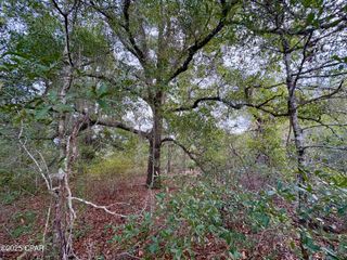 Lot 14 Sadorus Avenue, Alford, FL 32420