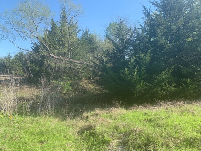 10843 E Line Road, Trenton, TX 75490