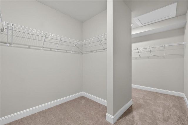 199 Wappoo Trace Lane, Summerville, SC 29486