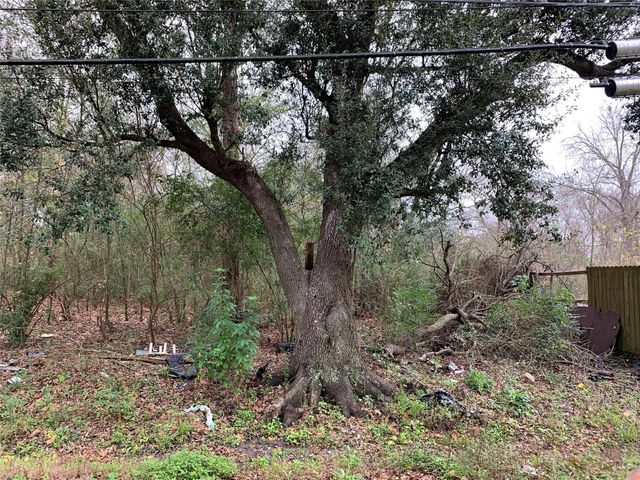 0 Maxroy Street, Houston, TX 77088