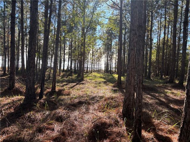 0 Shell Belt Road, Coden, AL 36523