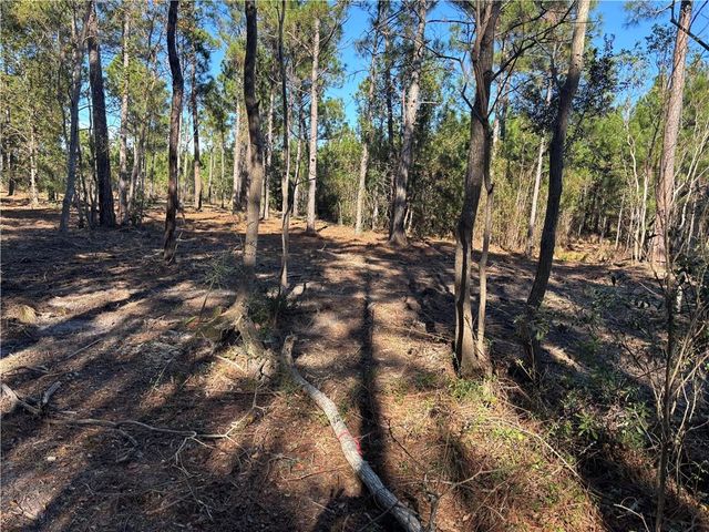 0 Shell Belt Road, Coden, AL 36523