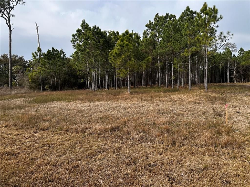 0 Shell Belt Road, Coden, AL 36523