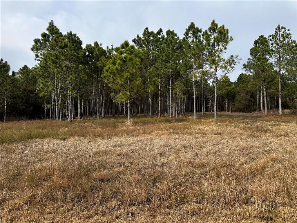 0 Shell Belt Road, Coden, AL 36523 — photo 2