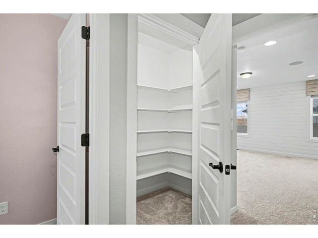 2124 Glean Ct, Windsor, CO 80550