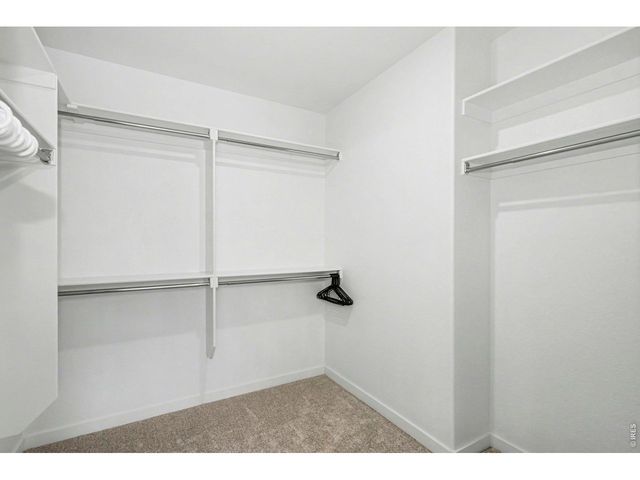 2124 Glean Ct, Windsor, CO 80550