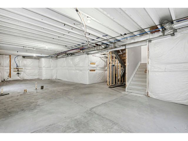 2124 Glean Ct, Windsor, CO 80550