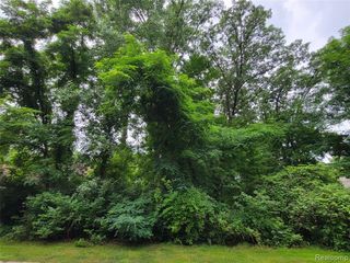 Lot 41 - Pinemont, Brighton, MI 48116