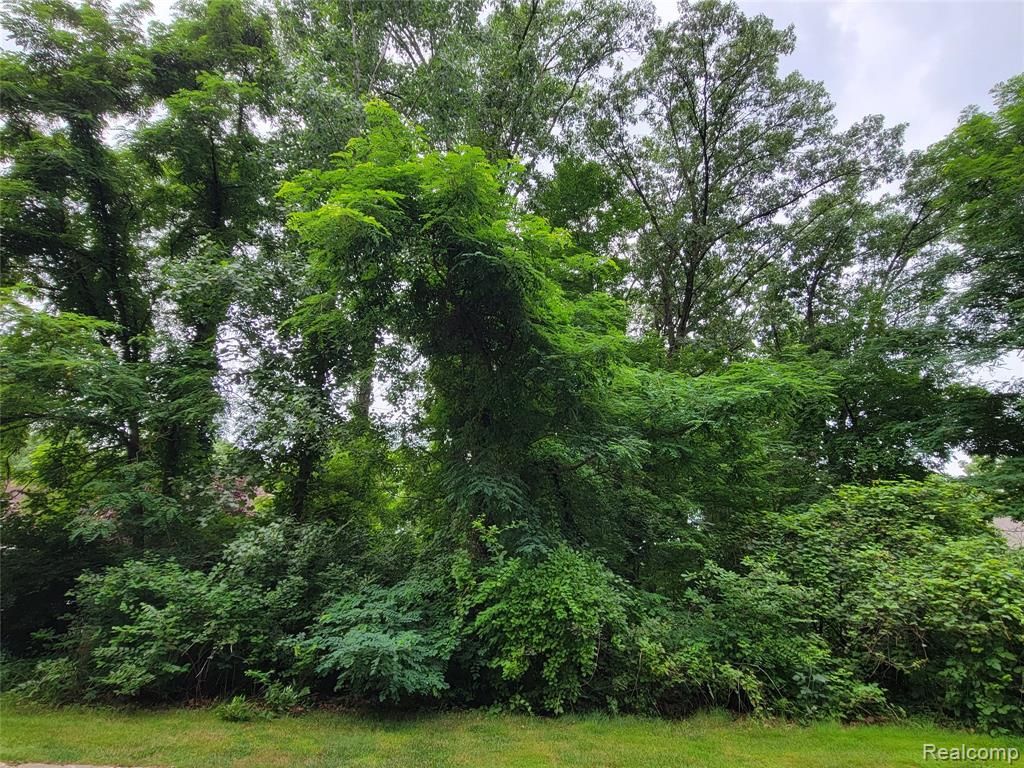 Lot 41 - Pinemont, Brighton, MI 48116