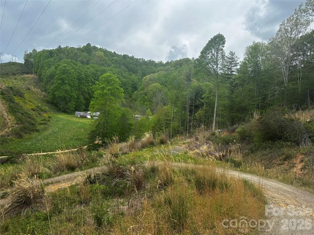 00 McPeters Lane, Burnsville, NC 28714