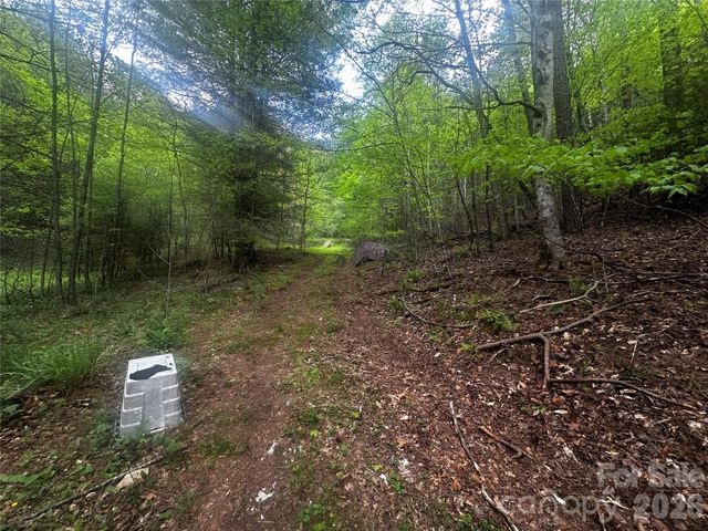 00 McPeters Lane, Burnsville, NC 28714