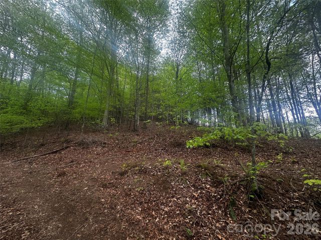 00 McPeters Lane, Burnsville, NC 28714