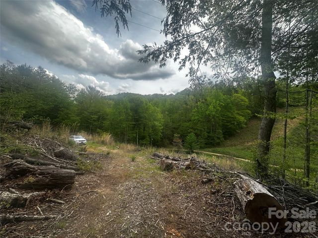 00 McPeters Lane, Burnsville, NC 28714
